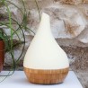 Vega Ultrasonic Essential Oil Diffuser