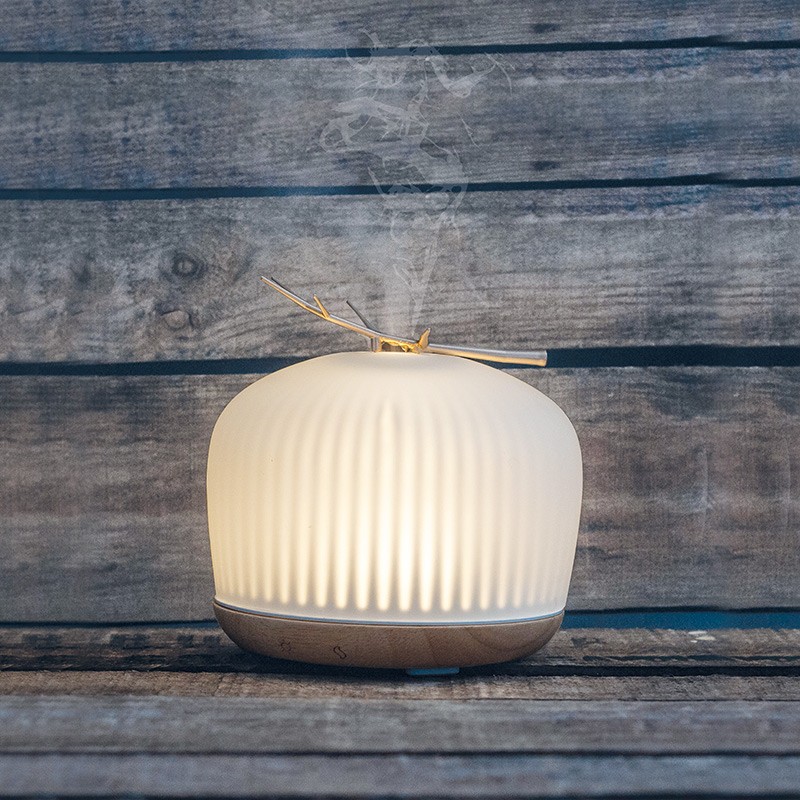 Ultrasonic Essential Oil Diffuser Orion