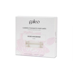 Carrés fondants parfumés Rose Ancienne