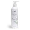 Lait corps à l'aloe vera biologique