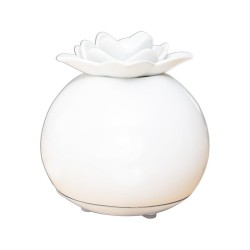 Essential oil diffuser Nelumbo