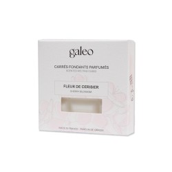 Carrés fondants parfumés Fleur de Cerisier