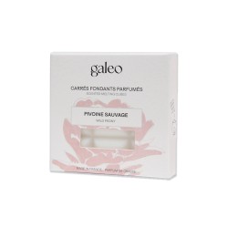 Carrés fondants parfumés Pivoine Sauvage