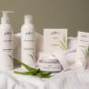 Lait corps à l'aloe vera biologique