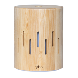 Essential oil diffuser Clava