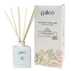 Bouquet parfumé Harmonie végétale