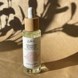 Concentré de parfum Rose Ancienne