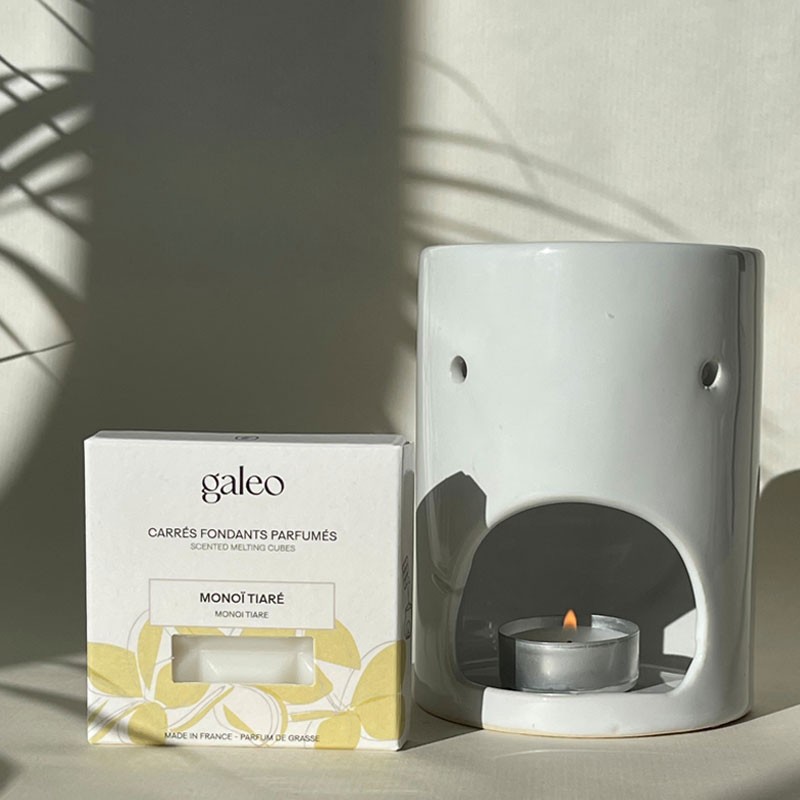 Monoi Tiare scented melting cubes