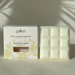 Polynesian Blossom scented melting cubes