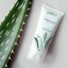 Crème mains à l'aloe vera biologique