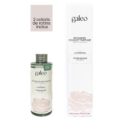 Recharge bouquet parfumé Pivoine Sauvage