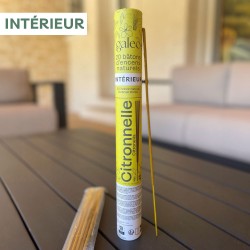 Bâtons d'encens naturels intérieur Citronnelle