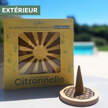 Cônes d'encens naturels extérieur Citronnelle