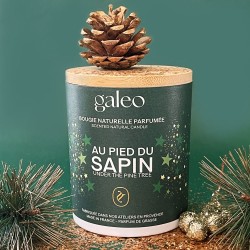 Under the pine tree natural scented candle - Christmas Collection