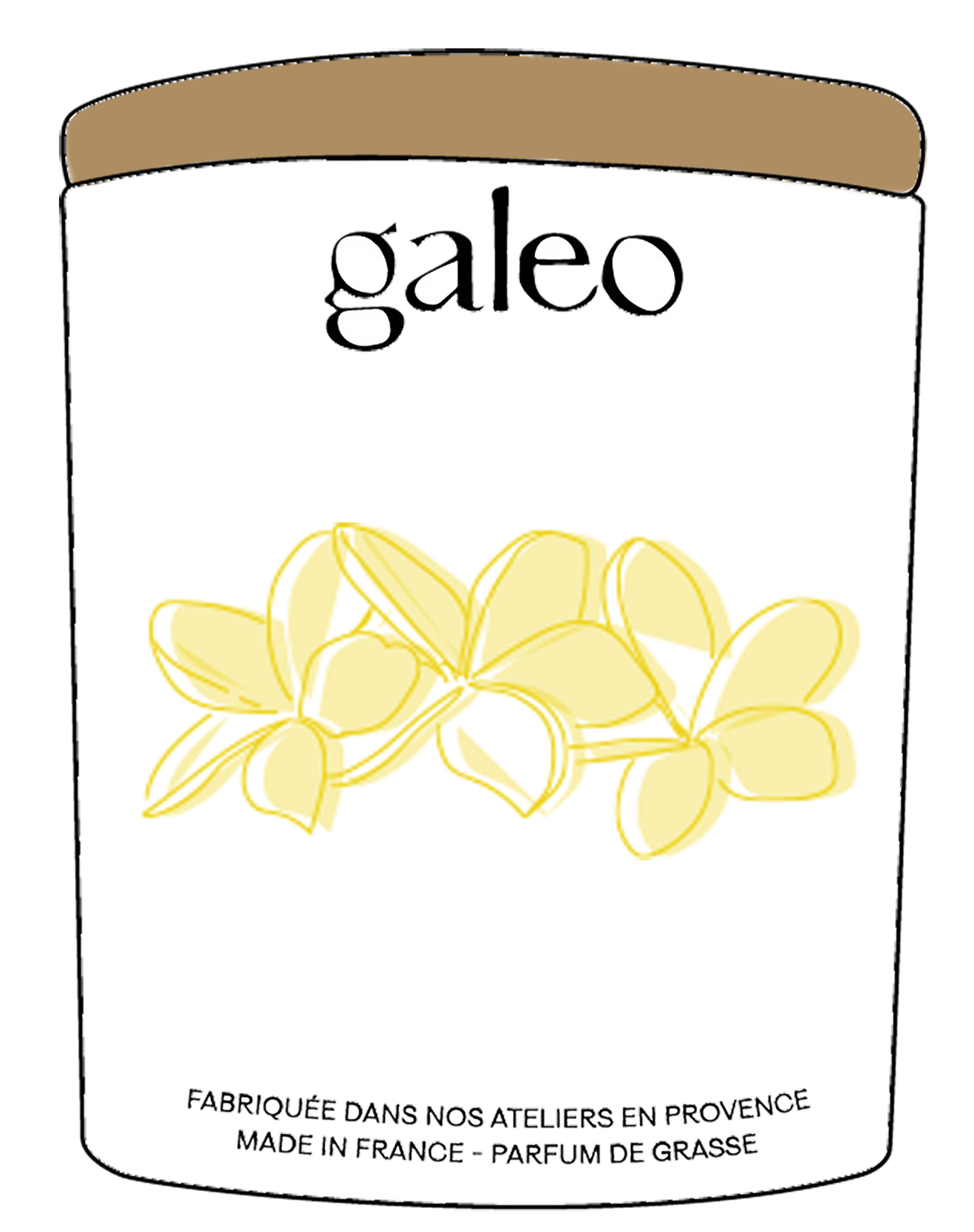 parfums d'ambiance de grasse galeo 