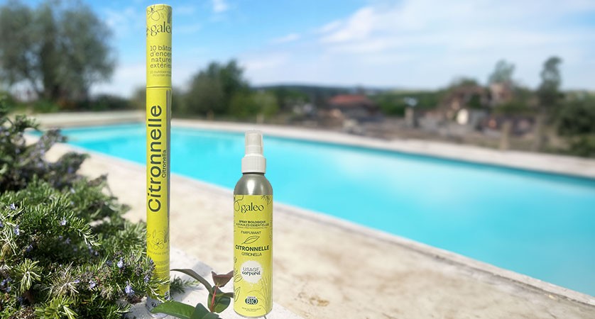 BESTSELLER : nos produits phares à la citronnelle !